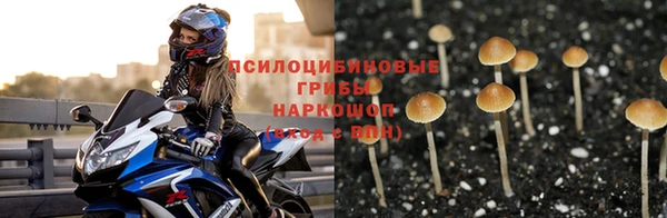ECSTASY Волоколамск