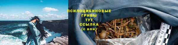 эйфоретик Володарск