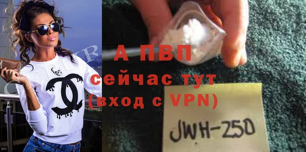 ECSTASY Волоколамск