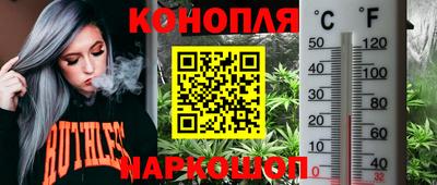 крисы Жуковский