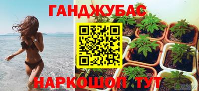 крисы Жуковский